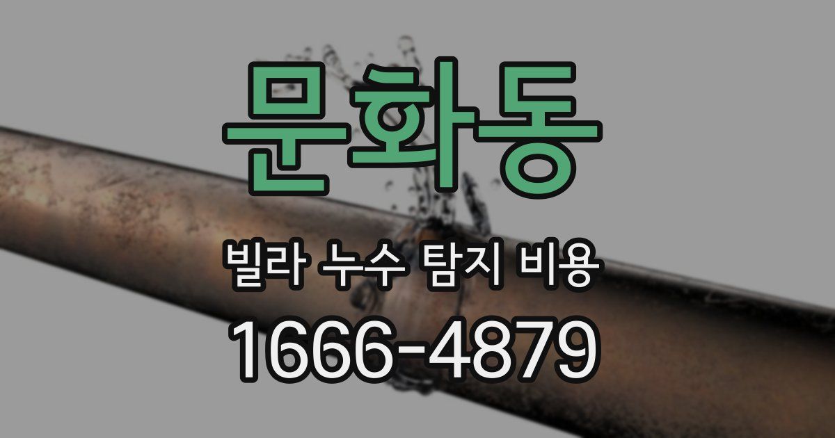 문화동 빌라 누수 탐지 비용