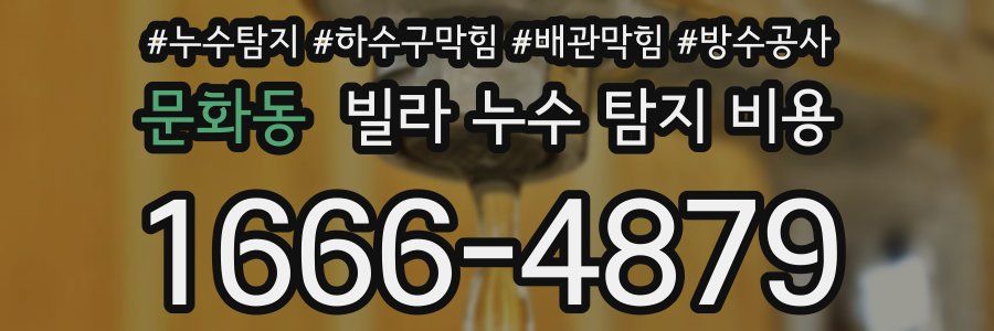 문화동 빌라 누수 탐지 비용