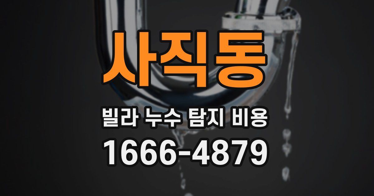 사직동 빌라 누수 탐지 비용