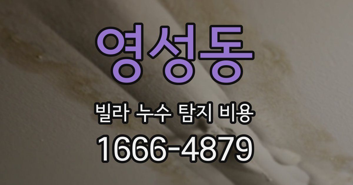 영성동 빌라 누수 탐지 비용