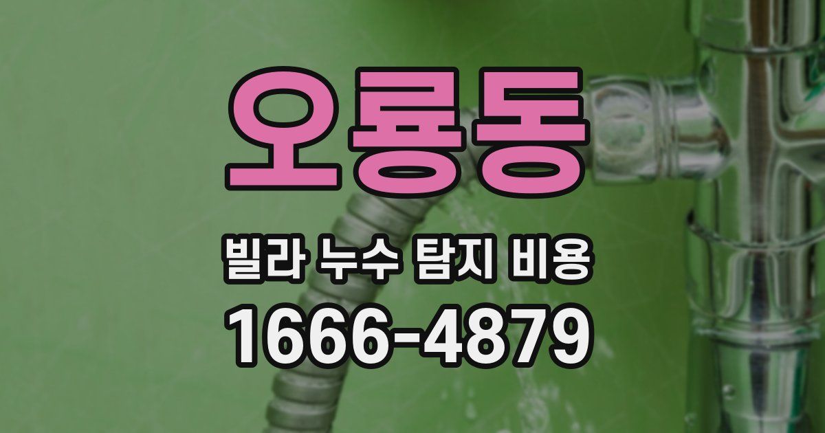 오룡동 빌라 누수 탐지 비용