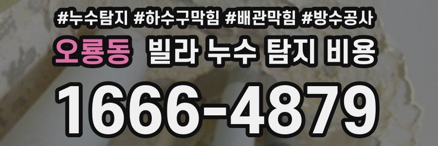 오룡동 빌라 누수 탐지 비용