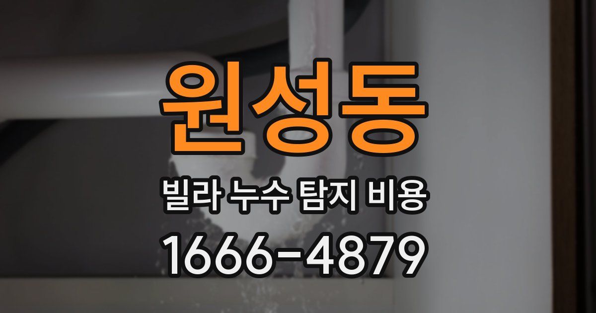 원성동 빌라 누수 탐지 비용