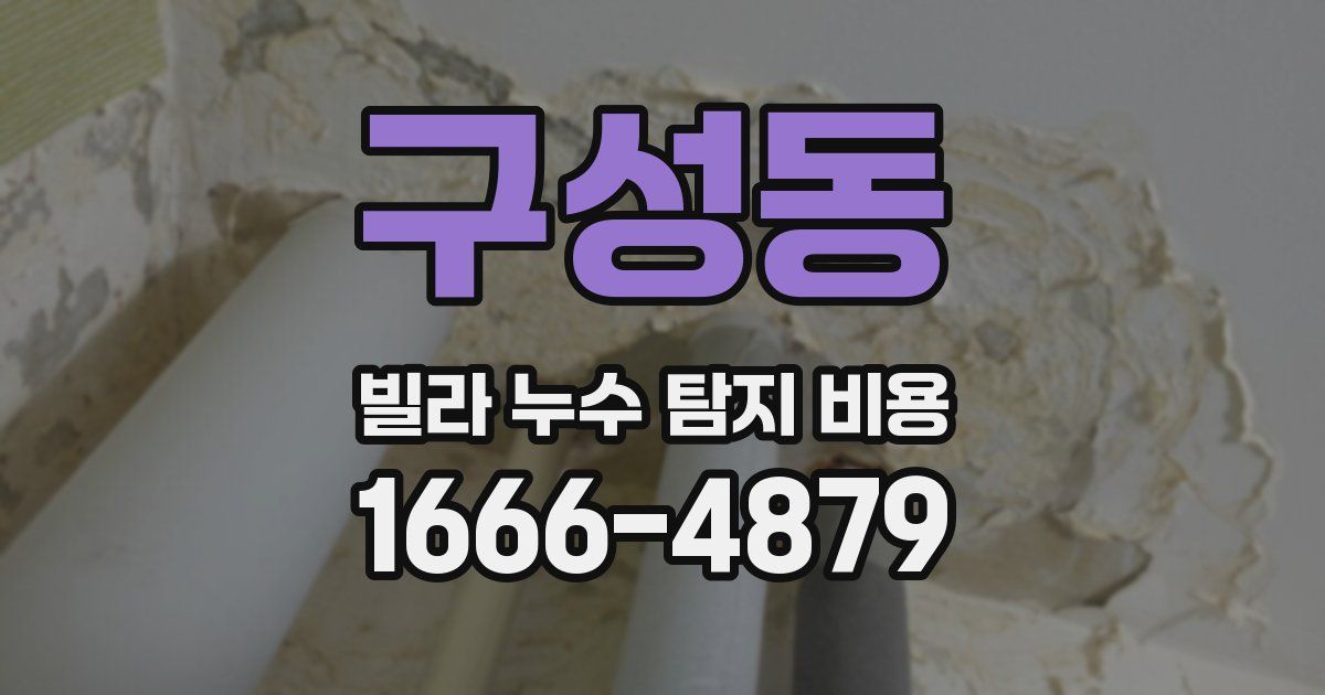 구성동 빌라 누수 탐지 비용