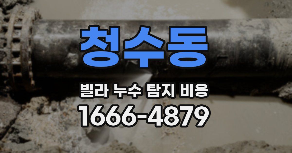 청수동 빌라 누수 탐지 비용