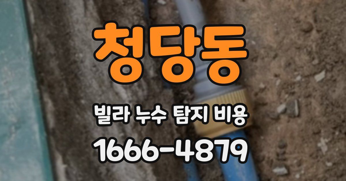 청당동 빌라 누수 탐지 비용