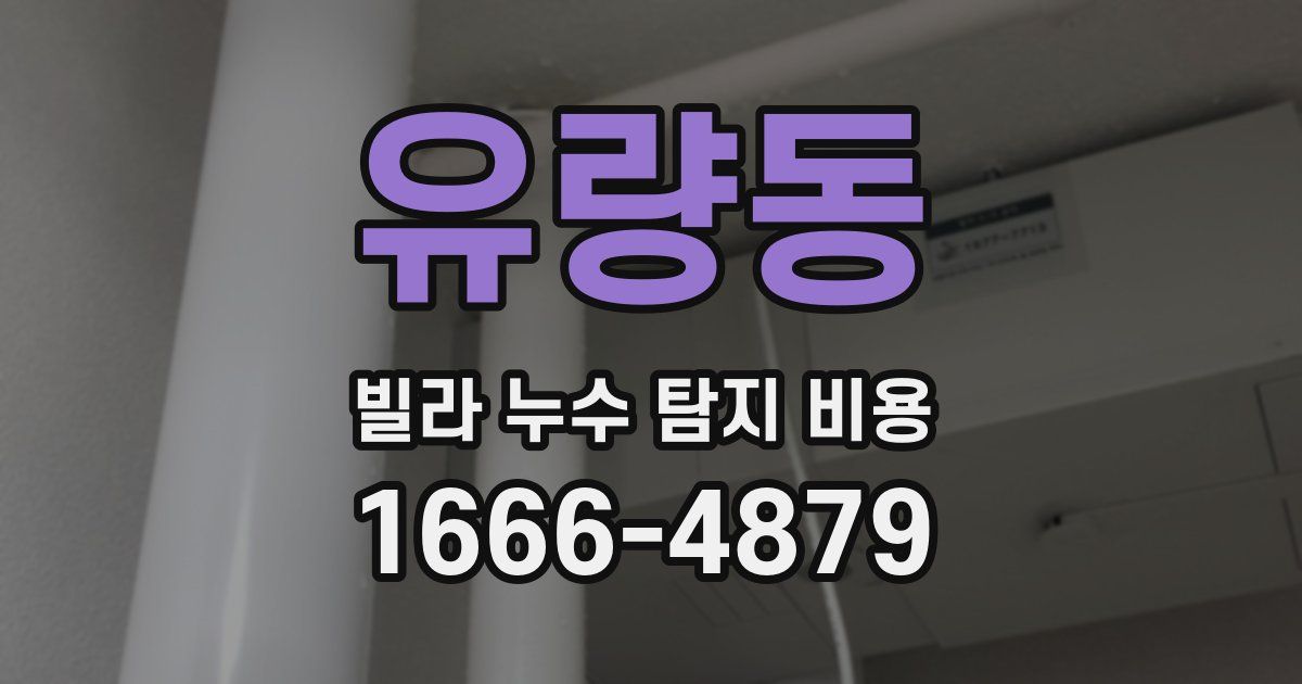 유량동 빌라 누수 탐지 비용