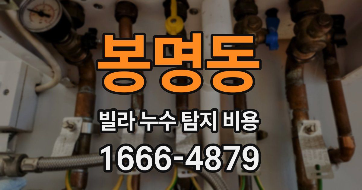 봉명동 빌라 누수 탐지 비용