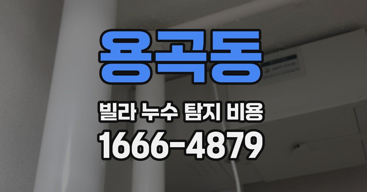 용곡동 빌라 누수 탐지 비용