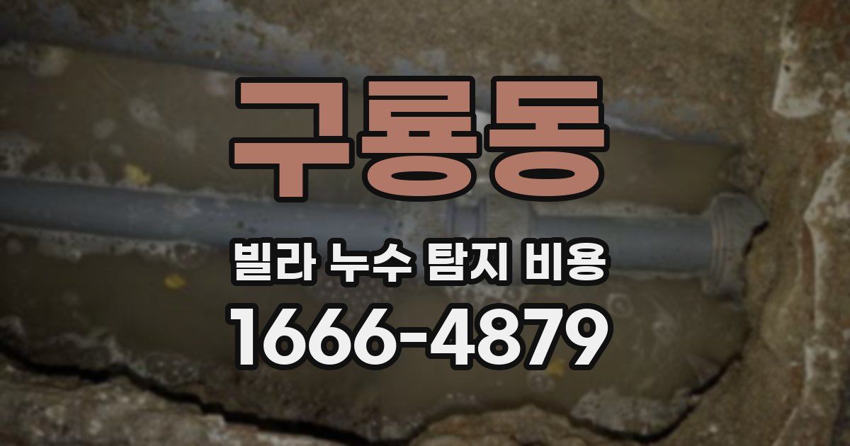 구룡동 빌라 누수 탐지 비용