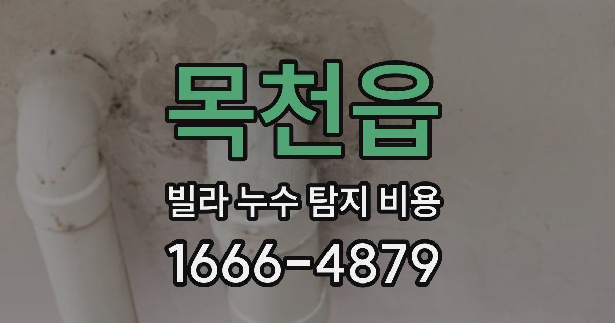 목천읍 빌라 누수 탐지 비용