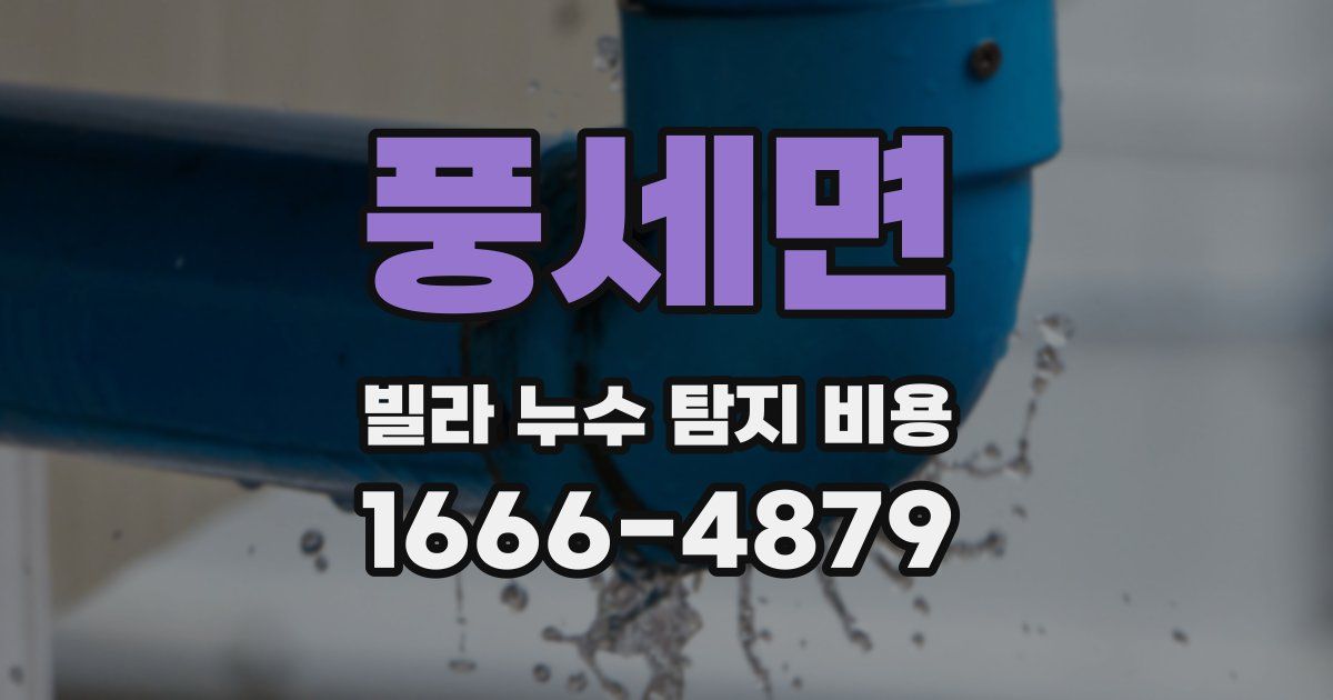 풍세면 빌라 누수 탐지 비용
