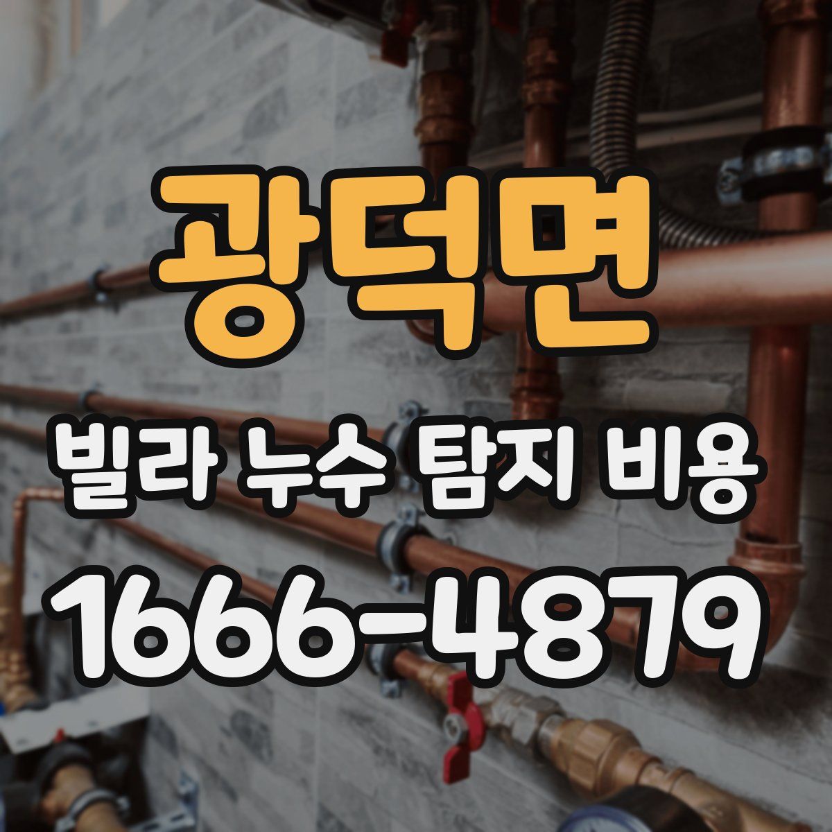 광덕면 빌라 누수 탐지 비용