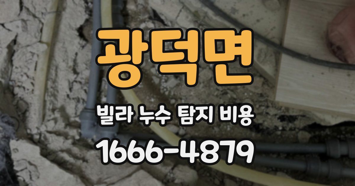 광덕면 빌라 누수 탐지 비용