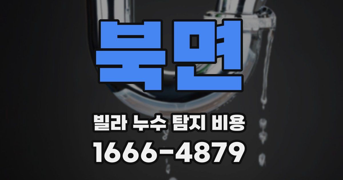 북면 빌라 누수 탐지 비용