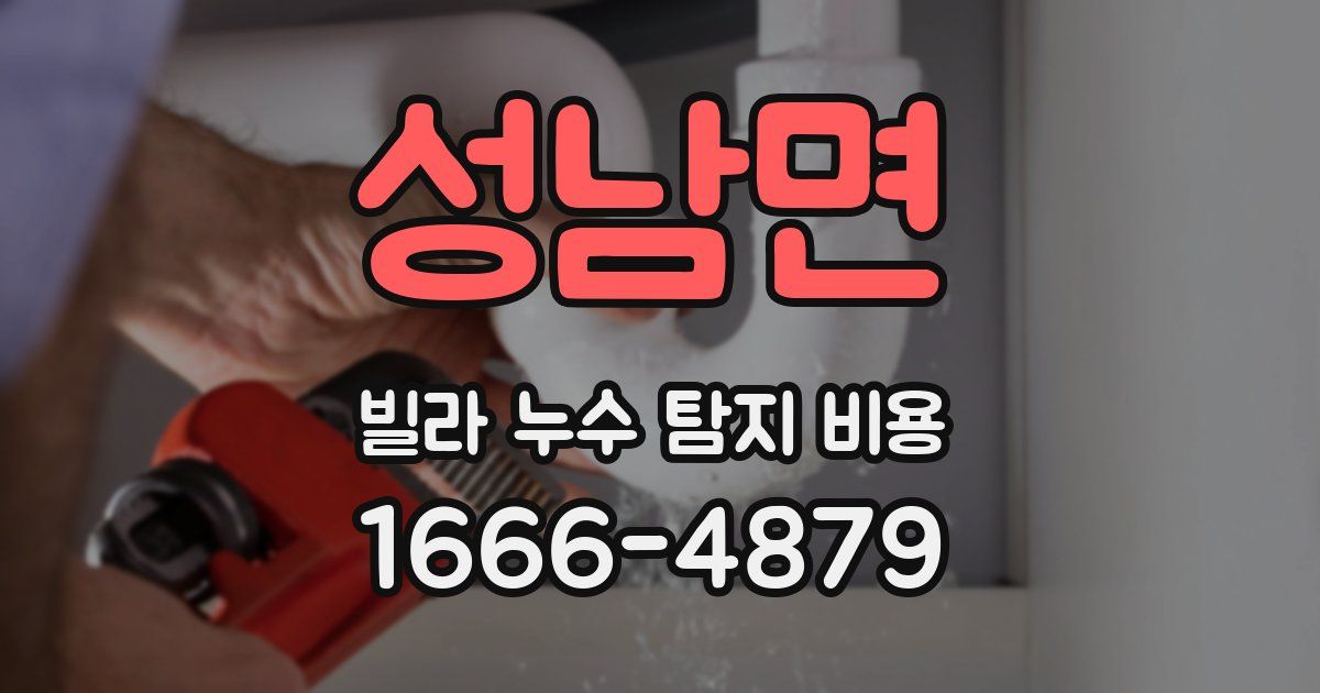 성남면 빌라 누수 탐지 비용