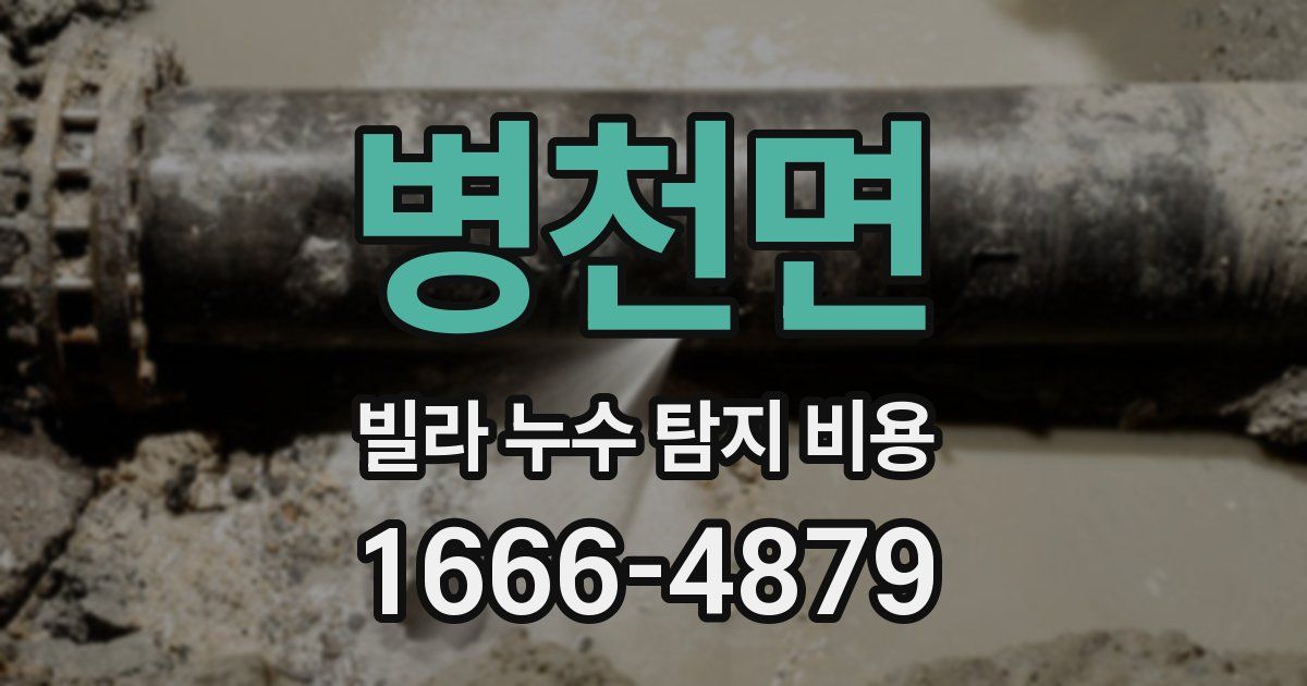 병천면 빌라 누수 탐지 비용