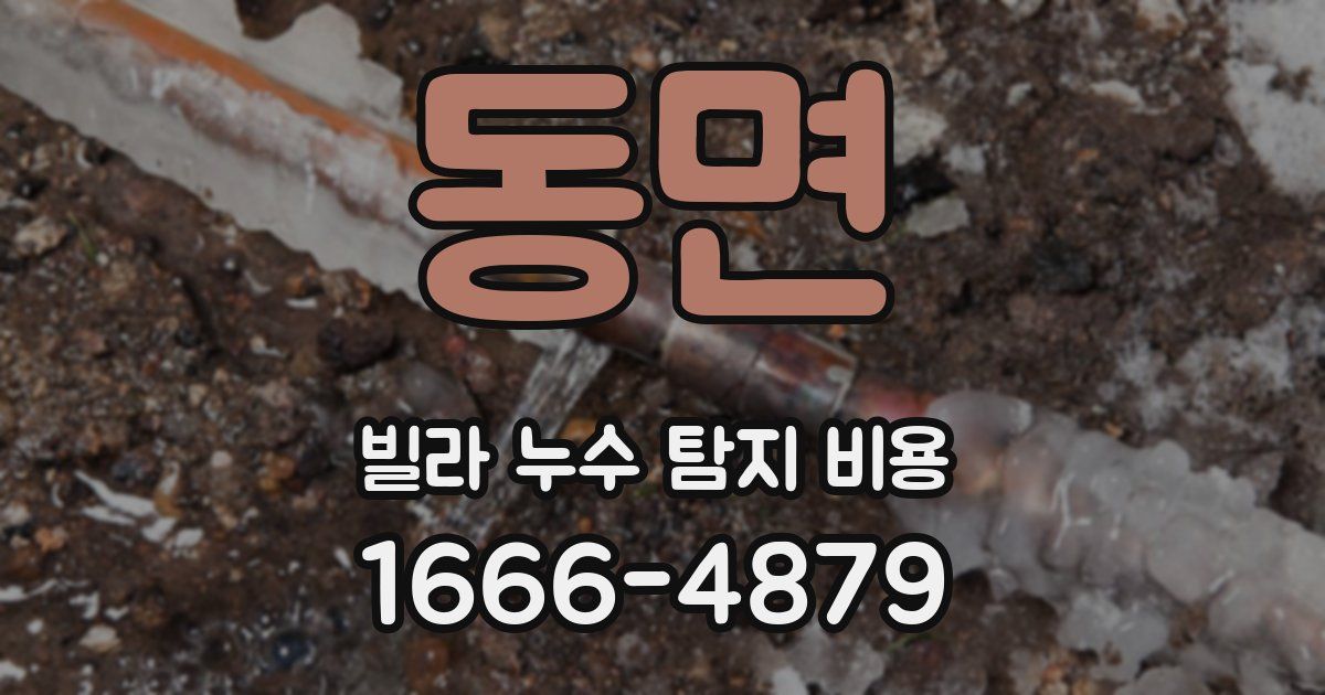 동면 빌라 누수 탐지 비용