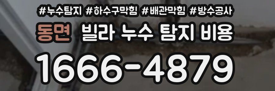 동면 빌라 누수 탐지 비용