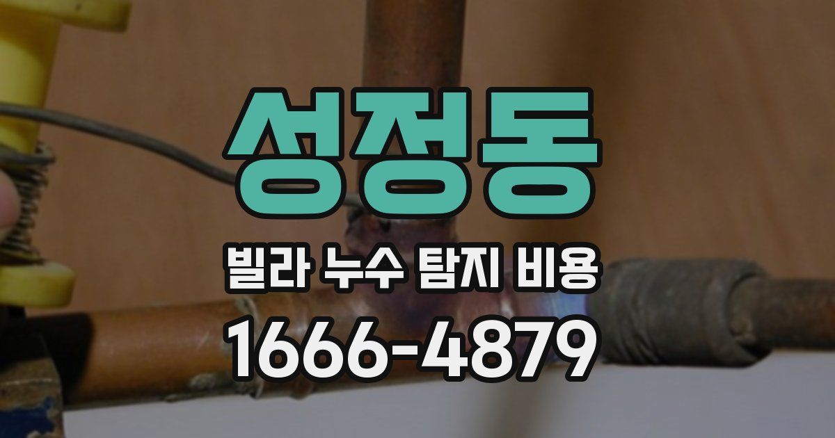 성정동 빌라 누수 탐지 비용