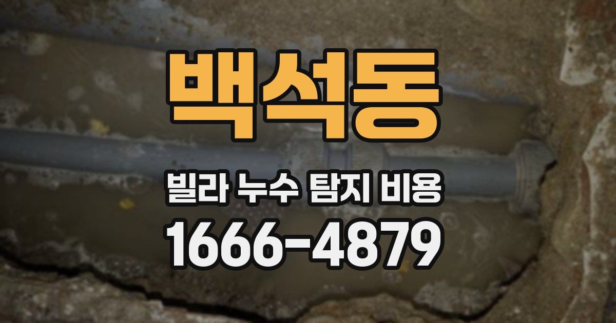 백석동 빌라 누수 탐지 비용