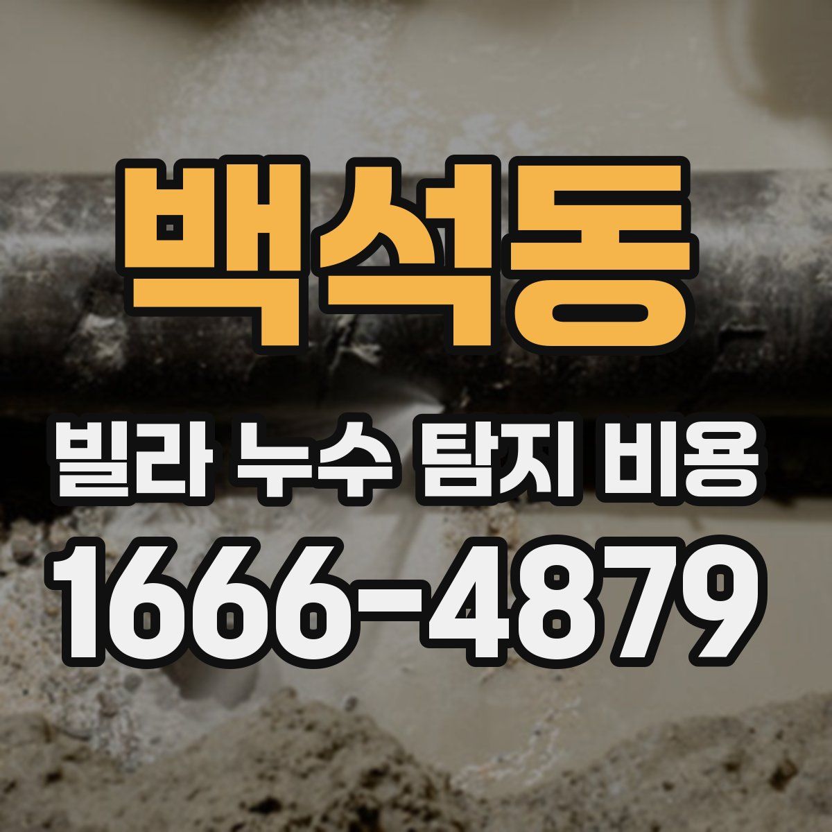 백석동 빌라 누수 탐지 비용