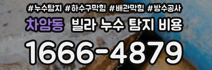 차암동 빌라 누수 탐지 비용