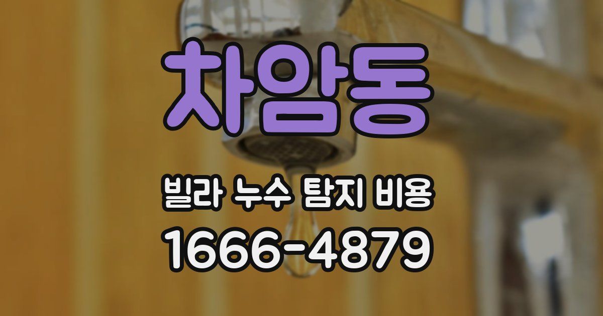 차암동 빌라 누수 탐지 비용