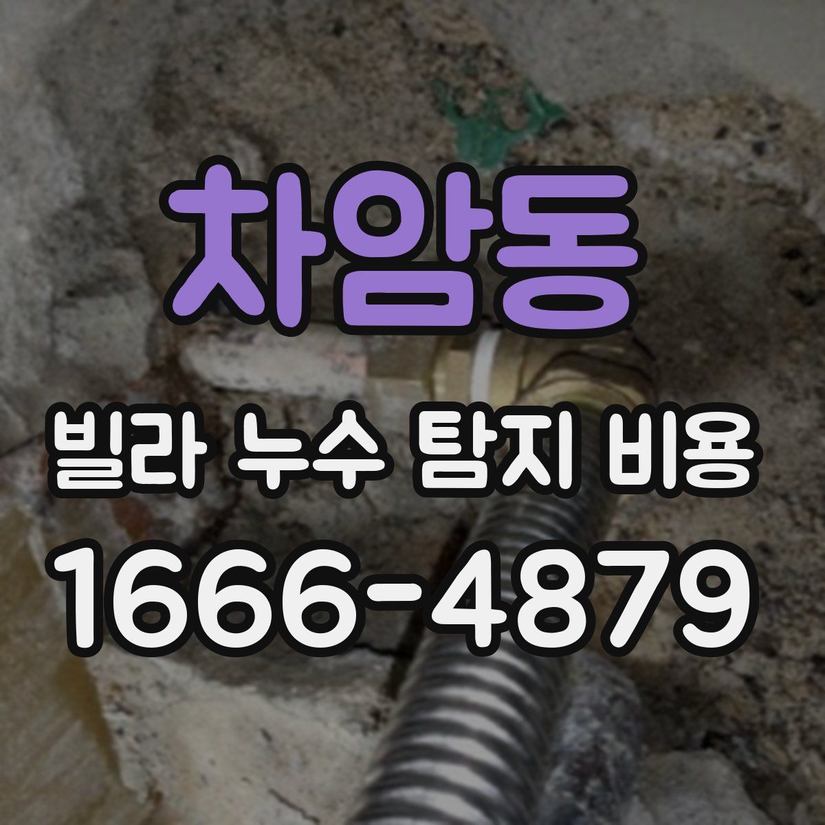 차암동 빌라 누수 탐지 비용