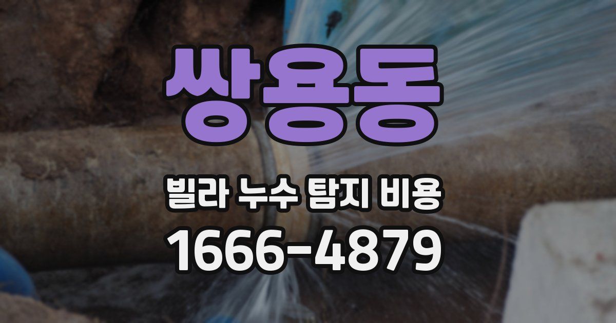 쌍용동 빌라 누수 탐지 비용