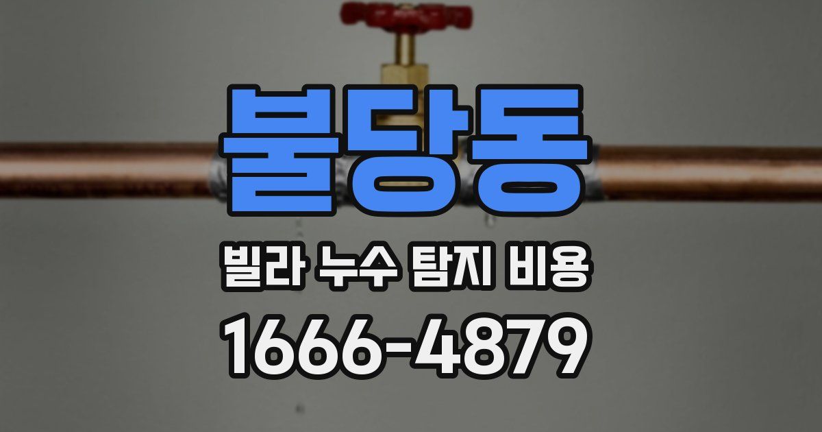 불당동 빌라 누수 탐지 비용