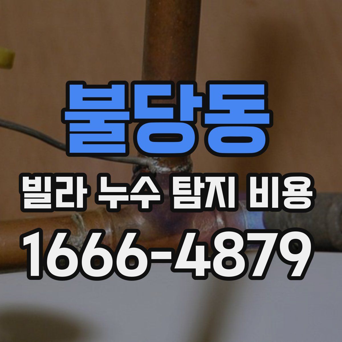 불당동 빌라 누수 탐지 비용