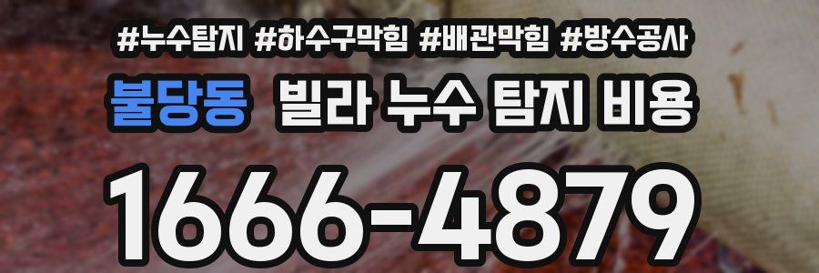 불당동 빌라 누수 탐지 비용