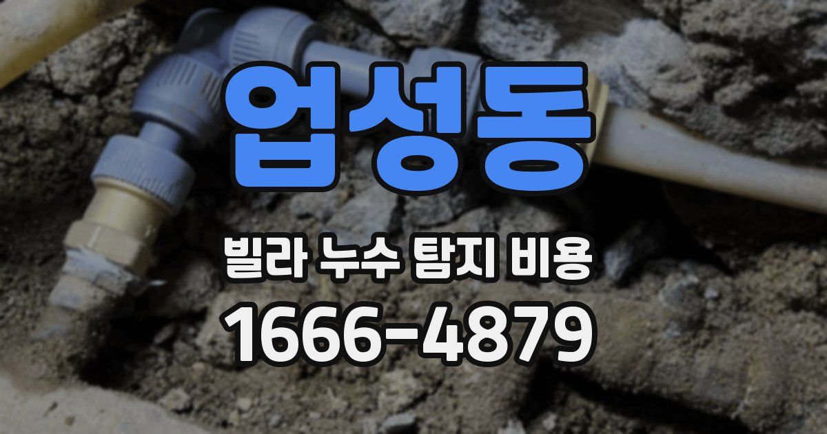 업성동 빌라 누수 탐지 비용
