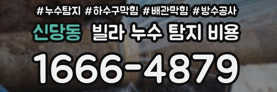 신당동 빌라 누수 탐지 비용