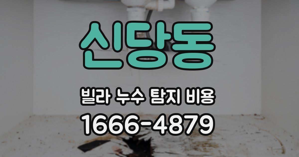 신당동 빌라 누수 탐지 비용