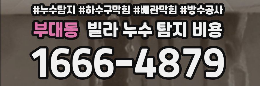 부대동 빌라 누수 탐지 비용