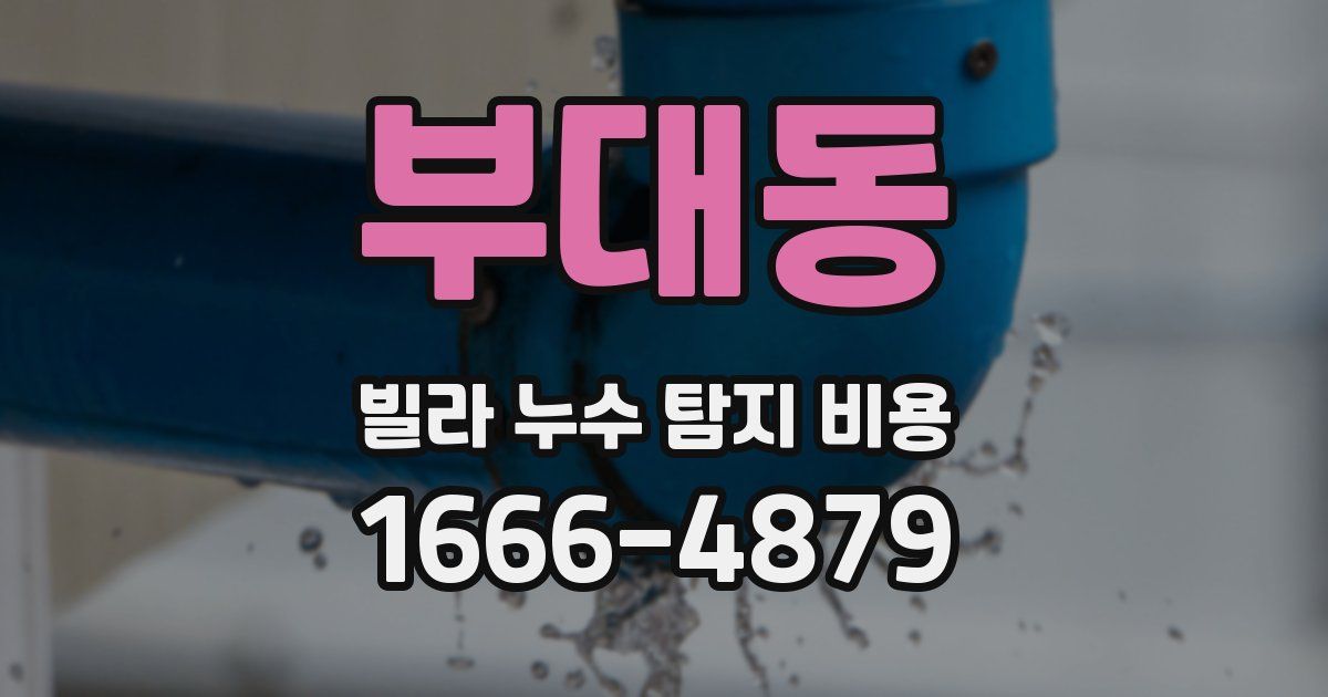 부대동 빌라 누수 탐지 비용