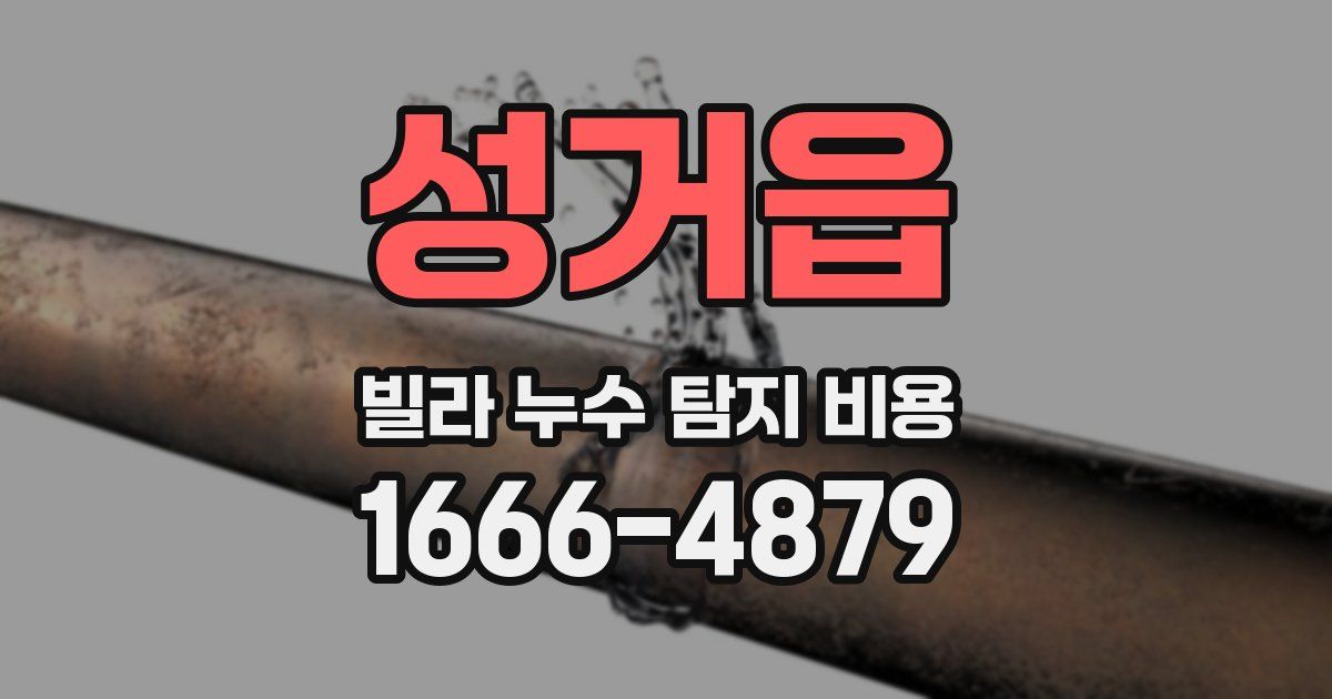 성거읍 빌라 누수 탐지 비용