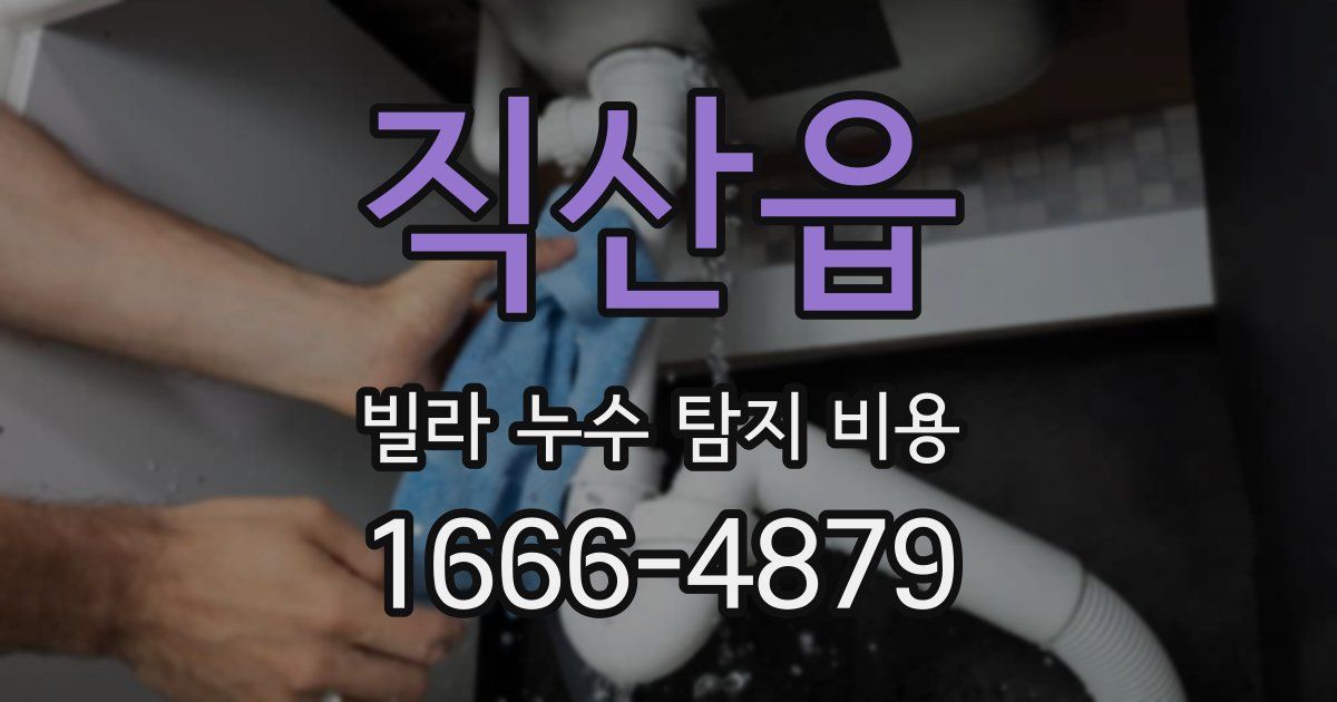 직산읍 빌라 누수 탐지 비용