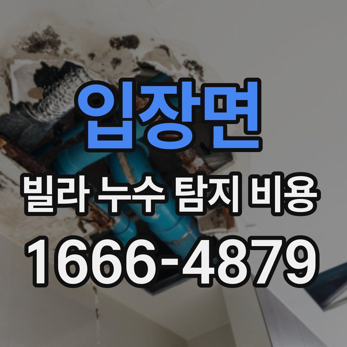 입장면 빌라 누수 탐지 비용