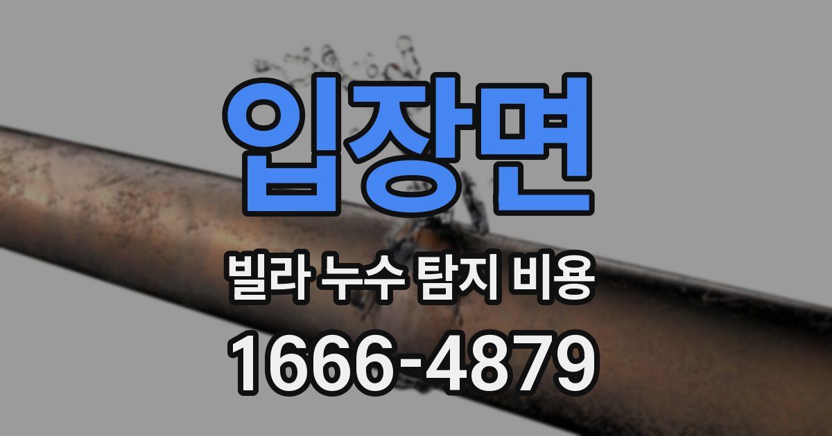 입장면 빌라 누수 탐지 비용