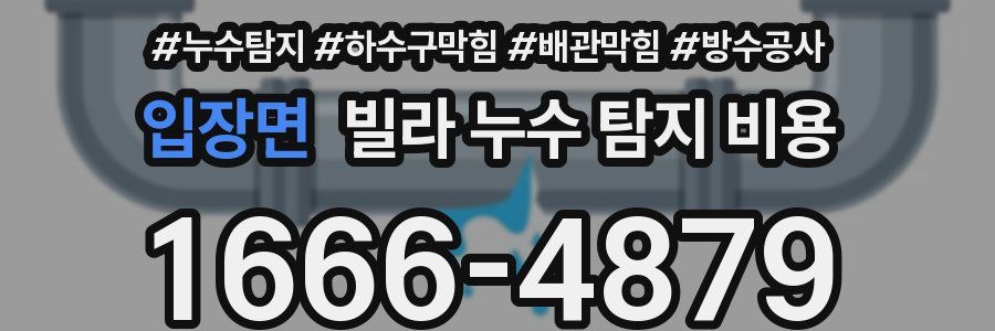 입장면 빌라 누수 탐지 비용