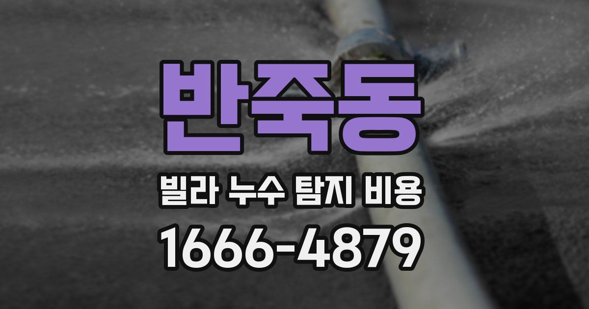 반죽동 빌라 누수 탐지 비용