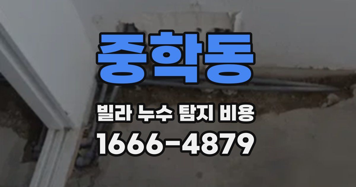 중학동 빌라 누수 탐지 비용