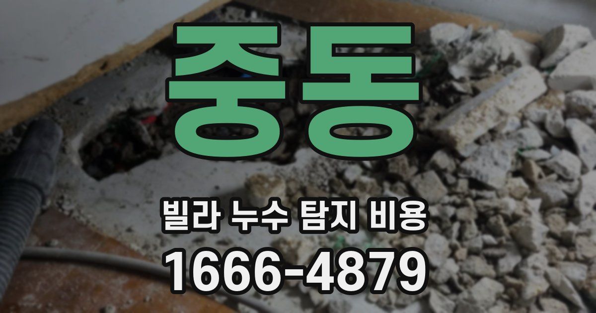 중동 빌라 누수 탐지 비용