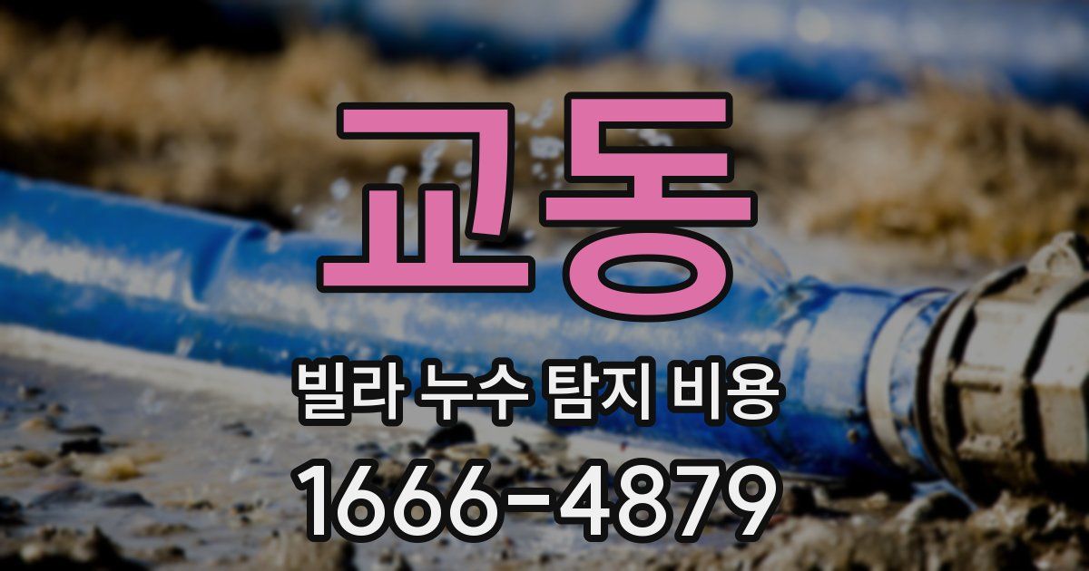 교동 빌라 누수 탐지 비용