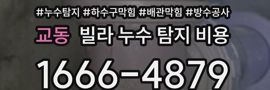 교동 빌라 누수 탐지 비용