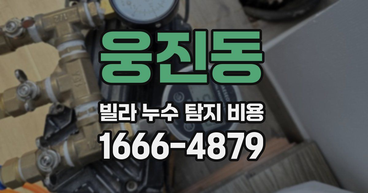 웅진동 빌라 누수 탐지 비용