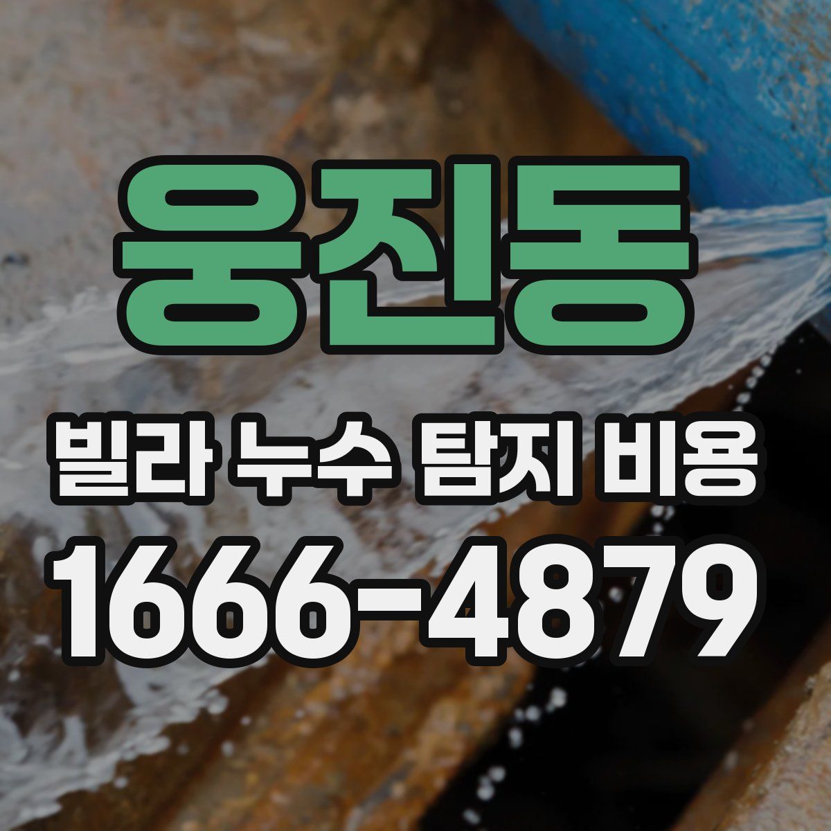 웅진동 빌라 누수 탐지 비용